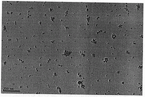 表面增强拉曼光谱敏感的导电银墨水的制备方法及其应用