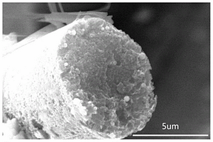 高碘含量I<Sub>2</Sub>-MBC正极材料及其制备方法