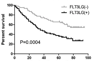 FLT3LG蛋白在制备肺腺癌术后预后评估试剂或者试剂盒中的应用