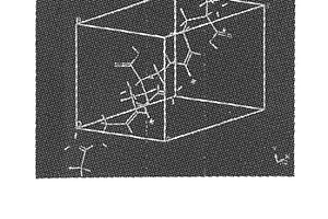 (2S,5Z)-2-氨基-7-(乙亚胺酰基氨基)-2-甲基庚-5-烯酸的结晶固体形式