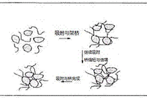 电催化调理能量波叠加共振污泥深度脱水方法