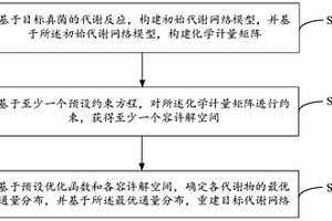 病原真菌的代谢网络构建方法、装置、设备及存储介质