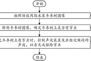 冬枣自动治虫方法和装置