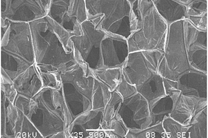 还原氧化石墨烯‑聚酰亚胺热处理泡沫的制备方法