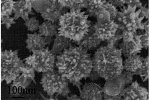 亚微米级海胆状钴锰酸锂的制备方法