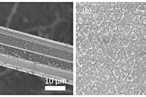 Se微米管/溴铅铯异质结及其制备方法与光电应用
