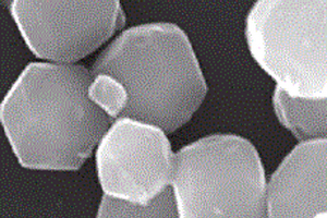 银纳米颗粒包裹的氮掺杂多孔碳及其制备方法
