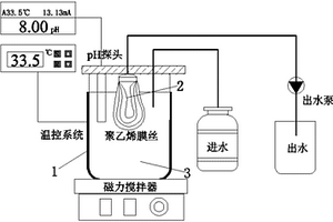 脱氮除磷耦合处理污水的反应器及其处理污水的方法