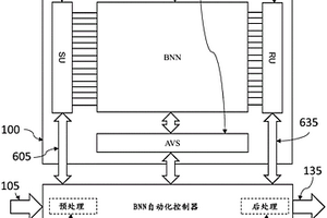 基于生物神经网络的认知计算方法与系统