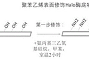 基于生物正交反应的定向抗体固定化方法