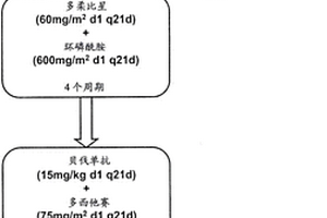 AGTR1作为贝伐单抗联合疗法的标志物