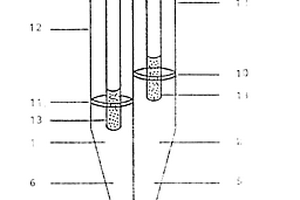 双通道乙酰胆硷离子选择性微电极的制备工艺