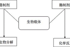 酶、菌制剂原位修复底泥污染工艺