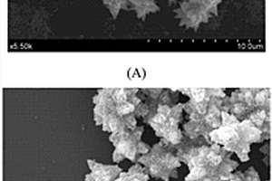 银-氧化锌复合纳米颗粒的制备方法及其用途