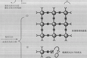 两性离子型聚合物微球及其制备方法