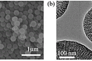 基于中空碳球的改性膜及其制备方法和应用