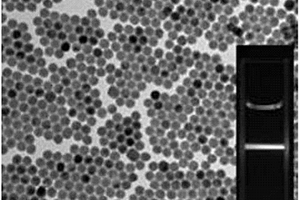 致病菌筛查用多色上转换磁性编码微球的制备方法