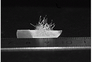 磷掺杂β-Ga<Sub>2</Sub>O<Sub>3</Sub>微米线的制备方法