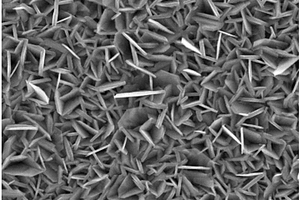 可控垂直硒化铋纳米片薄膜及其制备方法