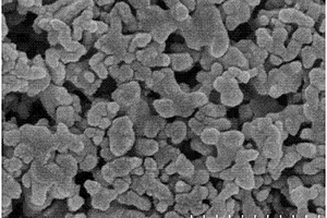 双硫腙-金复合纳米微粒修饰电极的制备方法及其应用