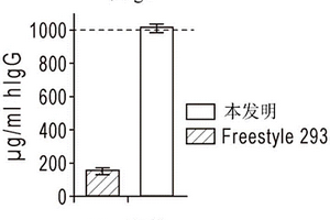 高产量瞬时表达系统