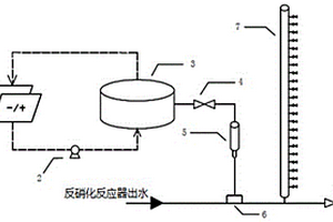 去除海水反硝化反应器出水中氨氮的装置和方法