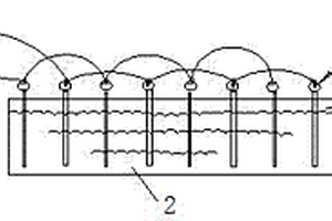 电解法制备电极用针状银的方法