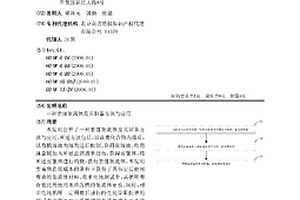 亲锂集流体及其制备方法与应用