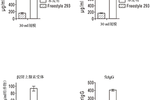 哺乳动物细胞中使用独特的高密度生长和转染培养基与表达增强剂对的高产量瞬时表达