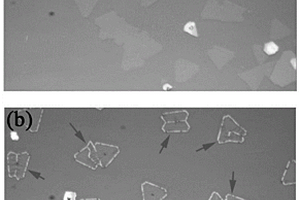 二维二硫化钨薄膜晶界的鉴别方法