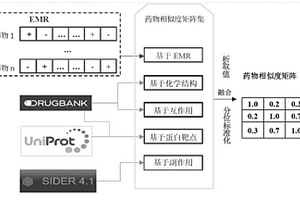 基于异构关联网络深度学习的药物重定位系统及方法