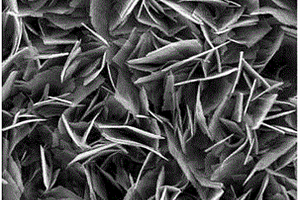 纳米片状钼掺杂具有氧缺陷三氧化钨、其制备方法及应用