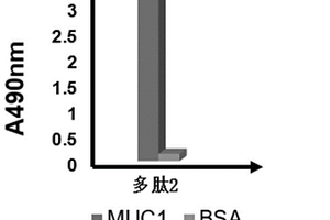 人MUC1特异性结合多肽及其提取方法