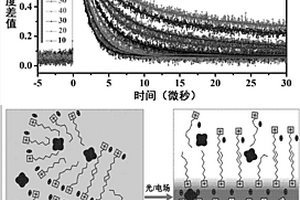 离子液体体系中分子分布的调控方法及应用