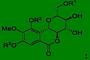 岩白菜素磺酸酯衍生物及其用途