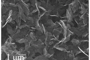 具有多孔结构的纳米碳材料的制备方法及其应用