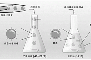 聚合物海绵微球及其制备方法