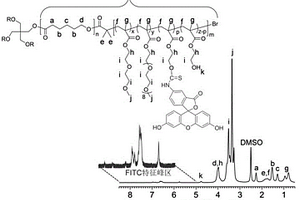 具有荧光标记和温度响应性的星型聚合物基药物载体材料的制备方法