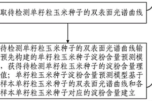 单籽粒玉米种子淀粉含量近红外高光谱检测方法及系统