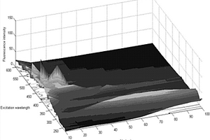 复原椰汁的三维同步荧光光谱检测方法