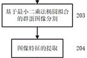 基于最小二乘法椭圆拟合的种蛋孵化成活性在线检测方法