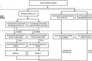 植物衰退等级的检测方法