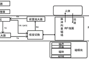 基于磁共振原理的器官脂肪无创定量检测方法