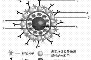 具有检测和热化疗性能的多功能拉曼探针