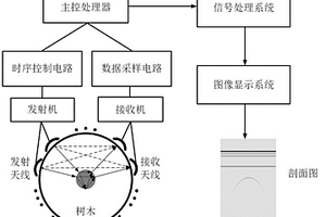 树木内部缺陷检测数据的成像算法