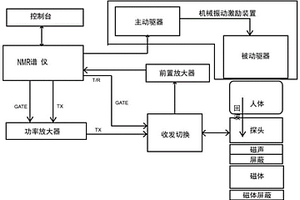 便携式核磁共振器官弹性无创定量检测方法