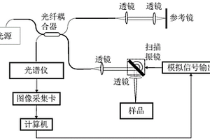 基于OCT系统检测漆质涂层固化程度的方法