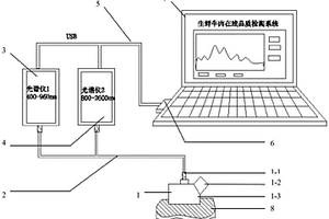 生鲜肉类多参数检测的双波段光谱融合方法及系统