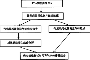 气味传感器检测水果采后病害的方法