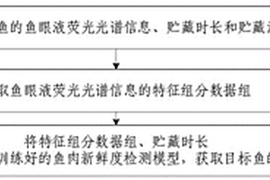 鱼肉新鲜度检测方法及系统